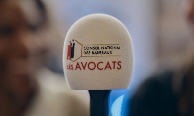 DSC6100 (2024-11-22T19 38 42.746)