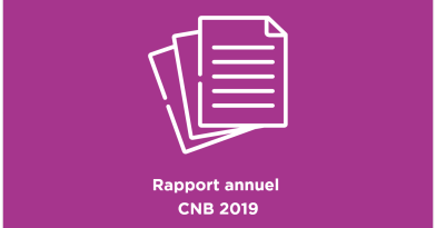 Rapport annuel CNB 2019