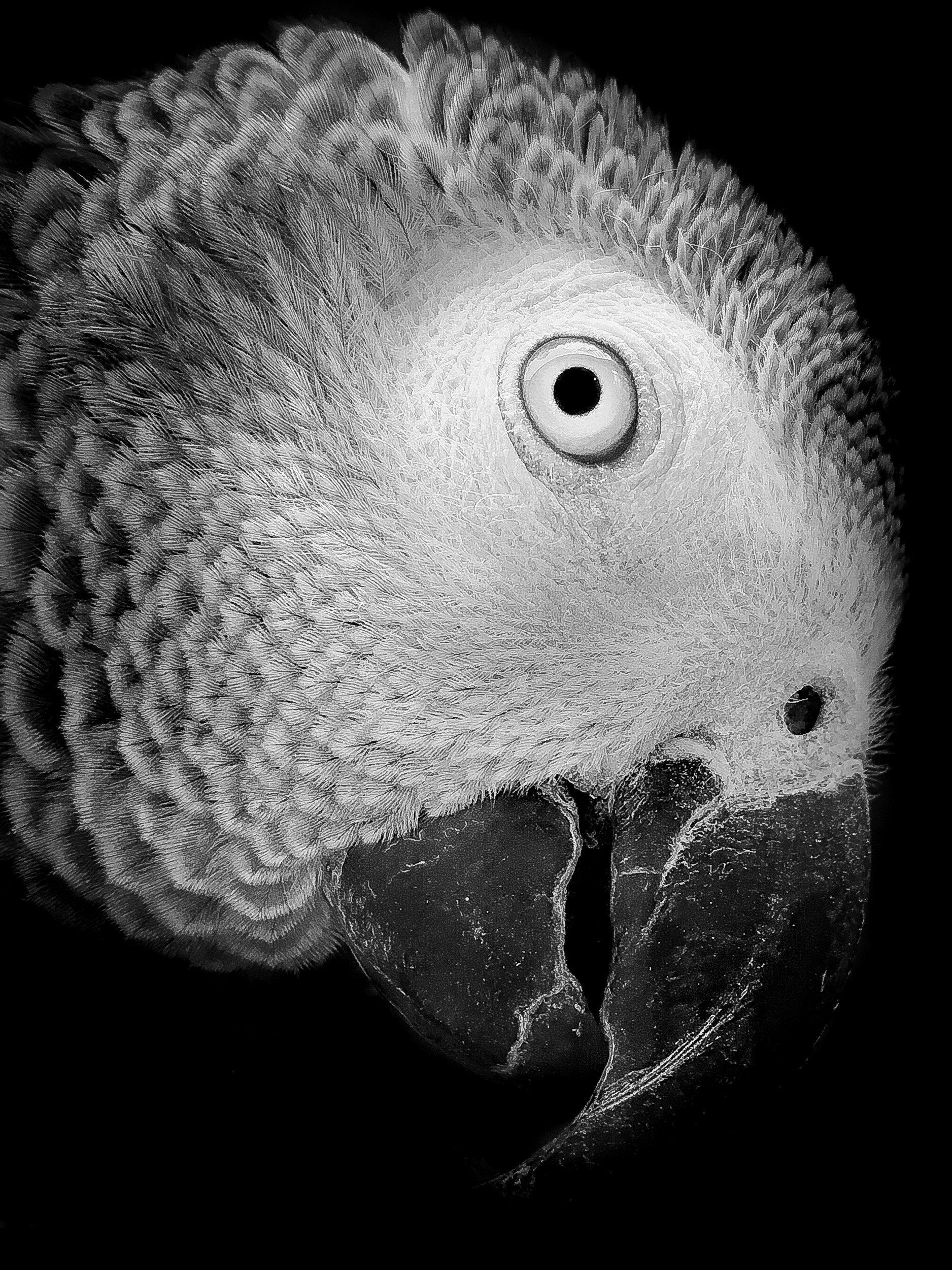 32C39939 81B7 4FFD 9D3A DDE193832592 69444e9bf09525.52760744.jpeg