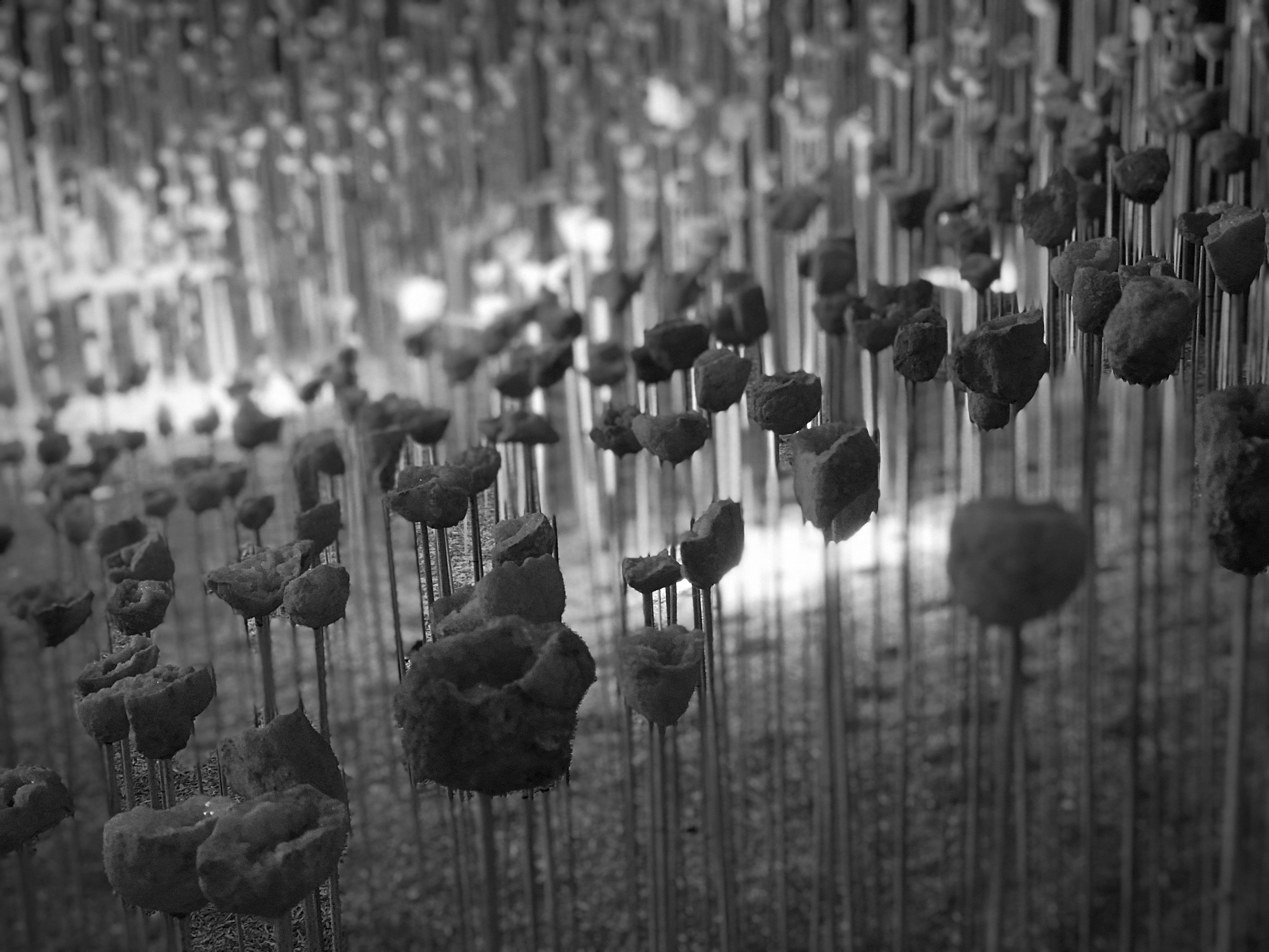 Alexis Devauchelle 69444e97894c53.38906708.jpg