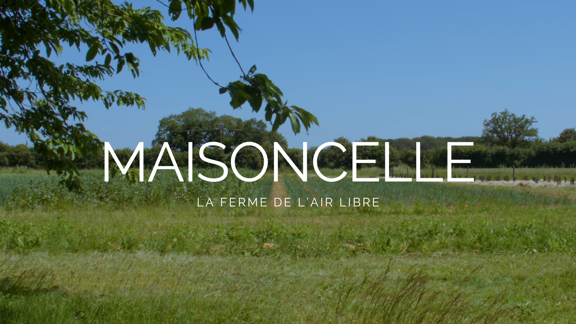 MAISONCELLE PHOTO SEULE TITRE 002 68c2de57531952.74039284.png