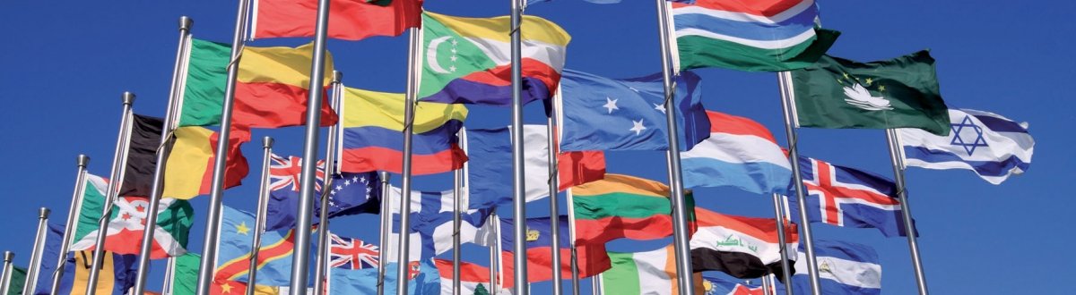 synthe spe - visuel exe 05 0