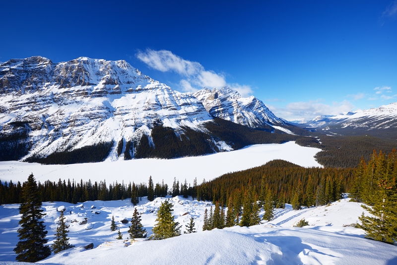 18th UIA Winter Seminar - From Soft Law to Hard Law: The impact of SDG and ESG goals on legal practice