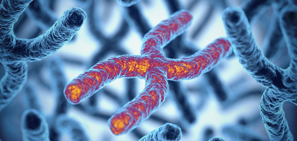  Genetic Engineering, CRISPR, and Beyond